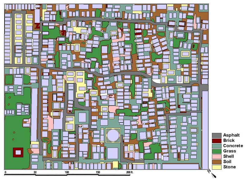 Groundcover at St. Louis Cemetery No. 1